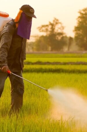 Public Health Pesticides